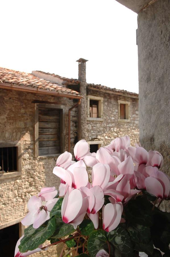 Albergo Diffuso Valcellina E Val Vajont In Erto 외부 사진